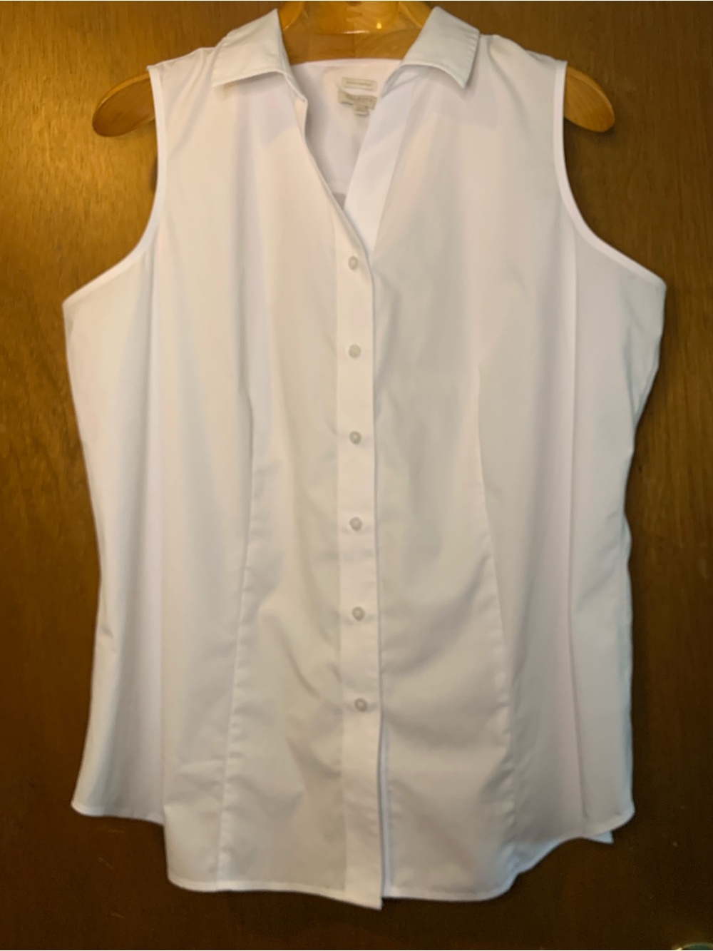 Talbots Wrinkle Free Sleeveless Collared Blouse in White